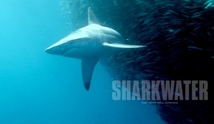 Sharkwater - The Documentary Network